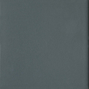 Глазурованный керамогранит Imola Ceramica Tint TintTITANIUM10 Глазурованный керамогранит Imola Ceramica Tint TintTITANIUM10 снят с производства