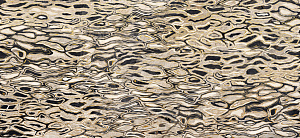 Керамогранит Imola The Room GHEPARD6 260LP 120x260 (Ghepard6260lp) Керамогранит Imola The Room GHEPARD6 260LP 120x260 (Ghepard6260lp) снят с производства