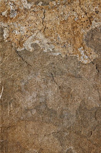 Глазурованный керамогранит Imola Ceramica Kalahari Kalahari46T 40x60 Глазурованный керамогранит Imola Ceramica Kalahari Kalahari46T 40x60 снят с производства