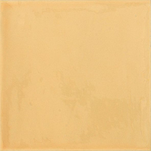Керамическая плитка Ape Giorno GiornoAmarillo 20x20 Керамическая плитка Ape Giorno GiornoAmarillo 20x20 снят с производства