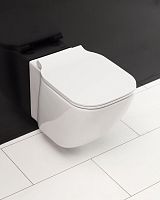 Сиденье для унитаза Soft Close BelBagno  BB114SC Сиденье для унитаза Soft Close BelBagno  BB114SC