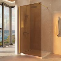 Душевая перегородка Vincea Walk in VSW-1H100GSG