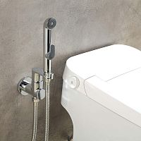 Смеситель с гигиеническим душем Aquatek АЛЬФА AQ1921CR