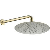 Душевой комплект Caprigo DON 99-523-BRG