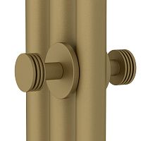 Вешалка Сунержа 032-2010-0004 Каньон двойная для ДР Хорда, матовое золото