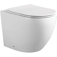 Унитаз приставной Aquatek AQ1902-00 Европа 56х36 см, безободковый, белый