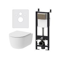 Комплект: Унитаз, сиденье, инсталляция, кнопка Damixa SIRIUS DX86.IS10151.1700