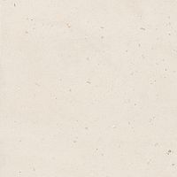 Неглазурованный керамогранит LA FAENZA SUITE STONE Shell6120