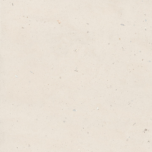 Неглазурованный керамогранит LA FAENZA SUITE STONE Shell6120 купить недорого в интернет-магазине Керамос Неглазурованный керамогранит LA FAENZA SUITE STONE Shell6120 купить недорого в интернет-магазине Керамос