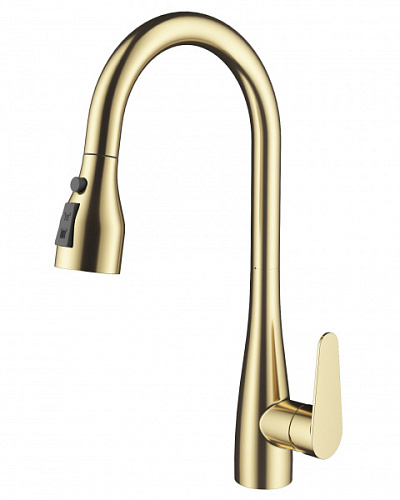 Смеситель для кухни Wonzon & Woghand WW-121E201B-BG Смеситель для кухни Wonzon & Woghand WW-121E201B-BG