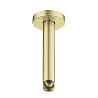 Держатель верхнего душа Aquatek  AQ2171BG