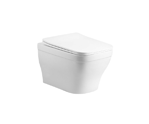 Унитаз-компакт Aquatek AQ1180-00 Амадео безободковый 49х36.5 см, тонкое сиденье с механизмом плавного закрывания, белый