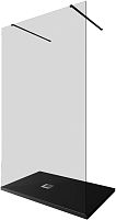 Душевая перегородка Allen Brau INFINITY 3.21046.BBA.T Душевая перегородка Allen Brau INFINITY 3.21046.BBA.T