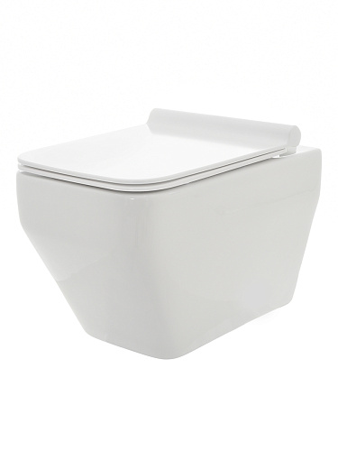 Унитаз подвесной с сиденьем AQUAme AQM2009 Унитаз подвесной с сиденьем AQUAme AQM2009