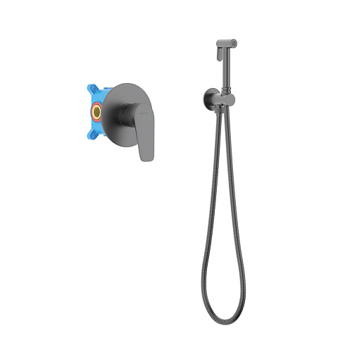 Смеситель с гигиеническим душем Aquatek БЕТТА AQ1119BGM