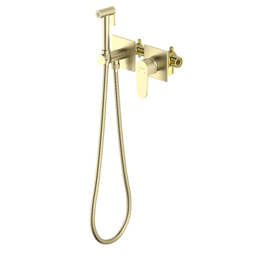 Смеситель с гигиеническим душем Aquatek Оберон AQ1220BG