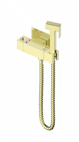 Смеситель с гигиеническим душем Wonzon & Woghand WW-88819903-BG Смеситель с гигиеническим душем Wonzon & Woghand WW-88819903-BG