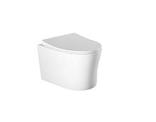 Унитаз Aquatek AQ2009-00 Ника безободковый 52.5х36.5 см, тонкое сиденье с механизмом плавного закрывания, белый Унитаз Aquatek AQ2009-00 Ника безободковый 52.5х36.5 см, тонкое сиденье с механизмом плавного закрывания, белый