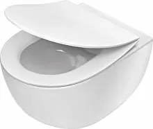 Унитаз Deante CDED6ZPW Peonia Zero подвесной 36х51 см, с сиденьем микролифт, белый
