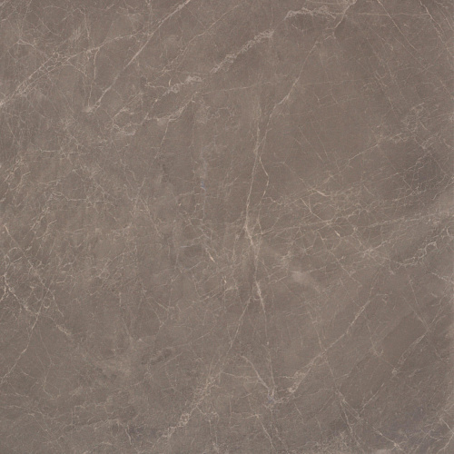 Керамогранит Atlas Concorde Marvel Edge Marvel Gris Supreme 60x60 (MarvelGrisSupreme60x60) купить недорого в интернет-магазине Керамос Керамогранит Atlas Concorde Marvel Edge Marvel Gris Supreme 60x60 (MarvelGrisSupreme60x60) купить недорого в интернет-магазине Керамос