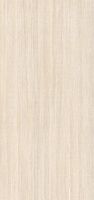 Керамогранит Imola Ceramica The Rock Borven6278Rm 120х278