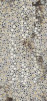 Декоративный элемент Imola Ceramica The Room Jaguar6260Lp 120x260