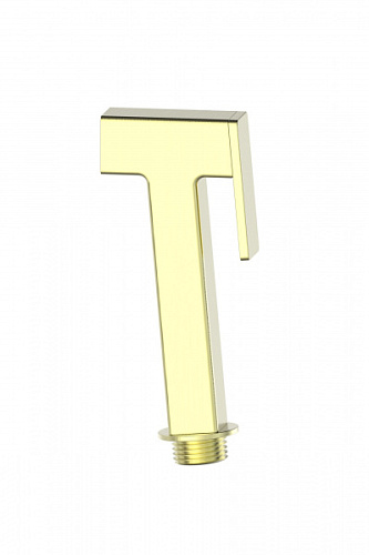 Лейка для гигиенического душа Wonzon & Woghand WW-88PQ02-BG Лейка для гигиенического душа Wonzon & Woghand WW-88PQ02-BG