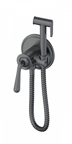 Смеситель с гигиеническим душем Wonzon & Woghand WW-88829008-BGM Смеситель с гигиеническим душем Wonzon & Woghand WW-88829008-BGM