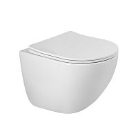 Унитаз подвесной, чаша BelBagno AMANDA BB051CH-TOR-FC/SC