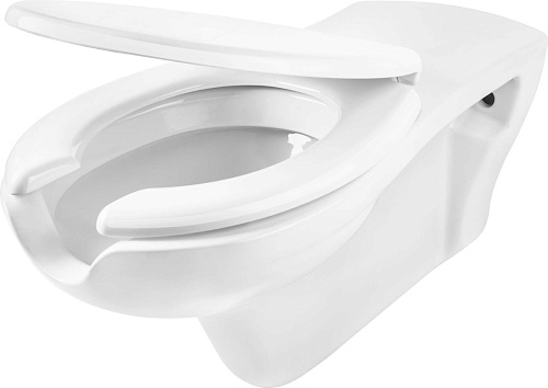 Унитаз Deante CDVD6WPW Vital подвесной 37х68 см, с сиденьем, белый Унитаз Deante CDVD6WPW Vital подвесной 37х68 см, с сиденьем, белый