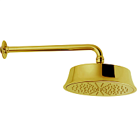 Верхний душ Cisal DS01327024 Shower 220 мм с настенным держателем L270 мм, цвет золото
