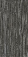 Неглазурованный керамогранит Imola Ceramica Vein VeinA36DGLp 30x60