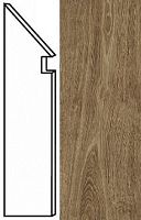 Плинтус (Плитка) AtlasConcorde ARBOR ArborCognacBattiscopaDig.Sag.SX