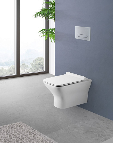 Крышка-сиденье для унитаза BelBagno BB2138SC Крышка-сиденье для унитаза BelBagno BB2138SC