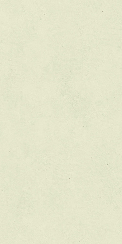 Неглазурованный керамогранит LEONARDO 1502 CODE CdExtwhite36 купить недорого в интернет-магазине Керамос