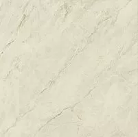 Керамогранит Imola Muse Macchiaap. 1W LP 120x120 (Macchiaap.1WLP) купить недорого в интернет-магазине Керамос