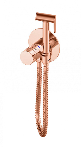 Смеситель с гигиеническим душем Wonzon & Woghand  WW-88829909-RG