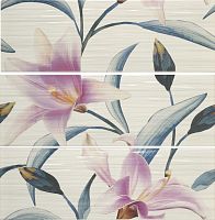 Декор Ape Funny DecorSet(3)AdrianaTurquesa,Purpura 20x60 Декор Ape Funny DecorSet(3)AdrianaTurquesa,Purpura 20x60