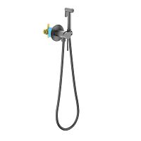 Смеситель с гигиеническим душем Aquatek ЕВРОПА AQ1021BGM