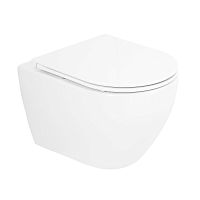 Комплект Унитаз+Сиденье Cezares Stylus CZR-6601-TH-TOR/CZR-870-SC Комплект Унитаз+Сиденье Cezares Stylus CZR-6601-TH-TOR/CZR-870-SC