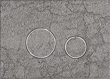 Смывная клавиша KKPol 350/PPK/421-00-03 Vitrum Grande V1 Orbis для инсталляции, Quartz, Pietra Grigia Смывная клавиша KKPol 350/PPK/421-00-03 Vitrum Grande V1 Orbis для инсталляции, Quartz, Pietra Grigia