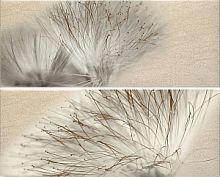 Декоративный элемент Ape Globe DecorSet(2)BaseMiel 20x50