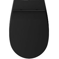 Крышка для унитаза ISVEA Sentimenti 40D10521I