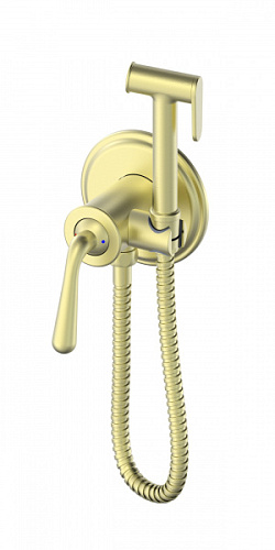 Смеситель с гигиеническим душем Wonzon & Woghand WW-88829008-BG Смеситель с гигиеническим душем Wonzon & Woghand WW-88829008-BG
