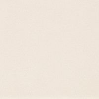 Неглазурованный керамогранит La Faenza Studio Studio60A 60x60