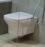 сет №10мск EDM102-00, Унитаз подвесной (White) + E20142-00, Сиденье для унитаза с мягким закрыванием (White)