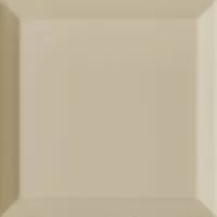 Imola Double 20BG 20x20 плитка, кабанчик (Double20BG) купить недорого в интернет-магазине Керамос