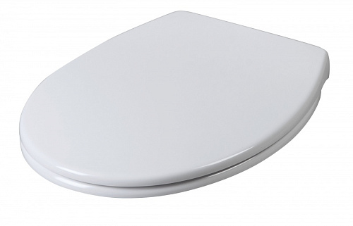Крышка-сиденье для унитаза AM.PM Bliss C557851WH купить недорого в интернет-магазине Керамос