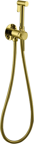 Смеситель с гигиеническим душем Allen Brau PRIORITY 5.31A29-GB Смеситель с гигиеническим душем Allen Brau PRIORITY 5.31A29-GB