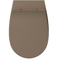 Крышка для унитаза ISVEA Sentimenti 40D40531I-S